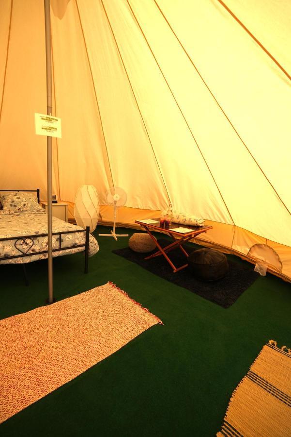 Camping Arbre De Vie Montagnac  Eksteriør billede