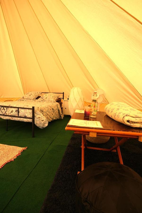 Camping Arbre De Vie Montagnac  Eksteriør billede